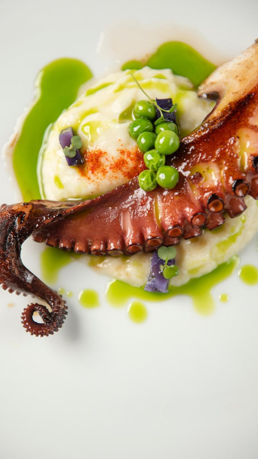 Creación Culinaria